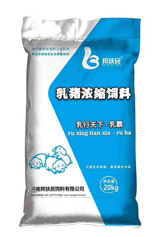乳猪中国X站XVDEVIOS安卓安装